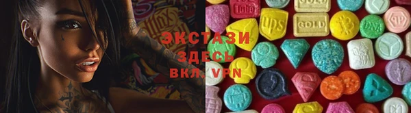 ECSTASY Богданович