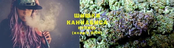 ECSTASY Богданович